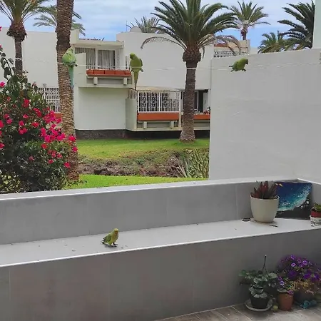 Ideal In The South Of Tenerife *