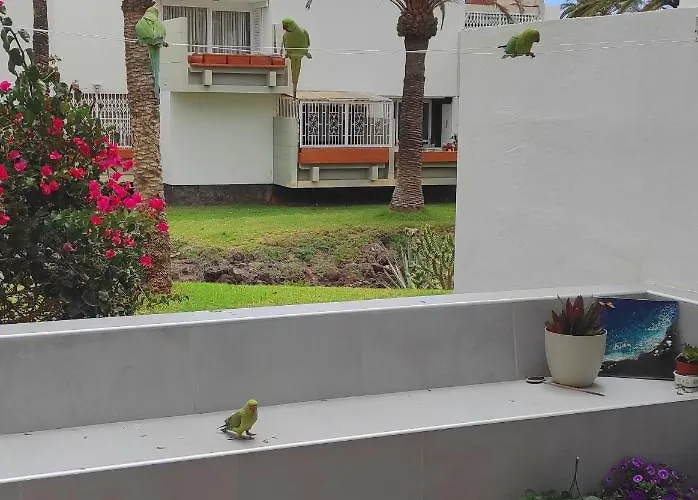 Ideal In The South Of Tenerife *